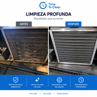 Limpieza de Motores